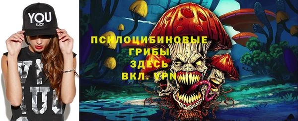эйфоретик Аркадак