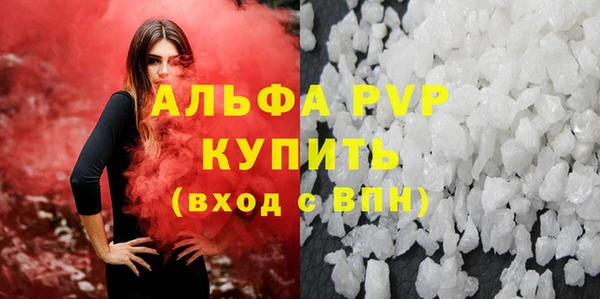 стаф Арсеньев
