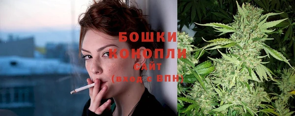 стаф Арсеньев