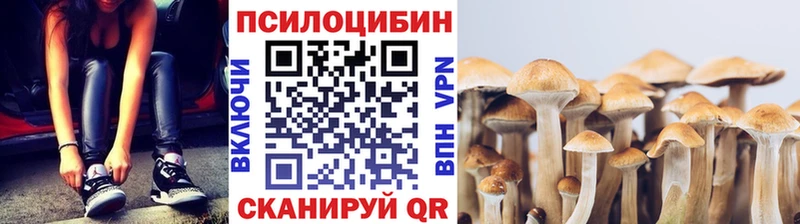 Купить  Елабуга  Галлюциногенные грибы мицелий 